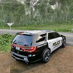 Ikon US Police Prado Parking 3D